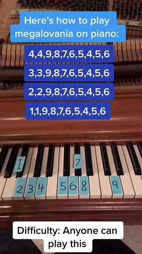 Luke Riley on TikTok