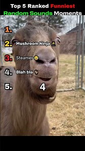 Top 5 Random Sounds Ranked 🔊😂 | You Won’t Guess #1