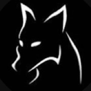 collinsmvpgaming - Twitch