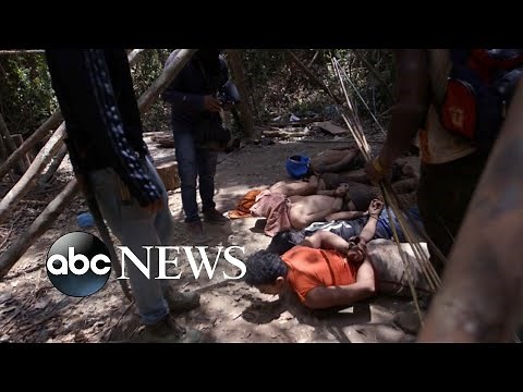 Tribe on front lines against illegal Amazon loggers