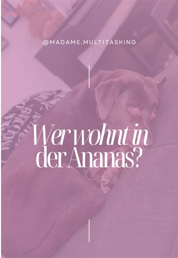 ..ganz tief im Meer? Spongebob Schwammkopf 🍍 #fyp #spongebob #ananas #dog #funny