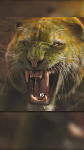 The Jared Leto Curse (Masters Of The Universe #skeletor #heman #movies | Marvel Lore Daily