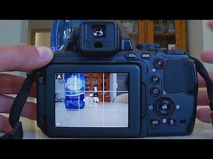 How to focus a specific subject or a specific area with Nikon Coolpix P900 Autofocus