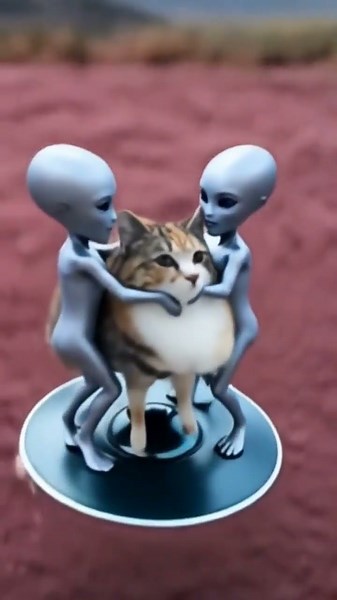 Aliens catnapping my cats. #catvideos