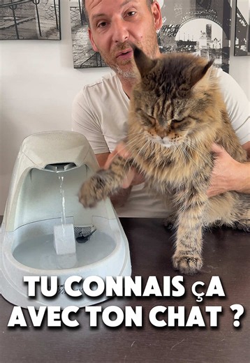 Vidéo pour chat : sons et scènes que ton chat adore