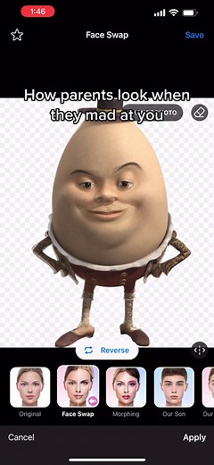 flaminghotmemes on TikTok