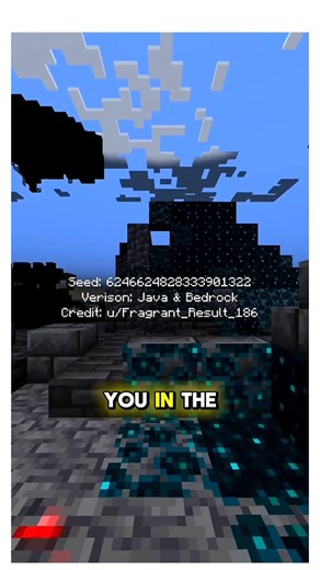 Minecraft seed review 🔨 (java and bedrock) part 34 #gaming #minecraft #fyp #gameplay #tutorial #fypシ