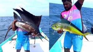 328K views · 2.9K reactions | Sail Fish & Mahi Mahi - dolphin fish catching in deep sea | Kadal Raasa Fishing | Facebook