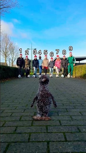 1, 2, 3, 4, 5, 6, 7, 8 or 9?🤔⚽️