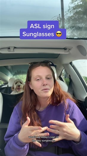 Sunglasses in ASL Sign Language