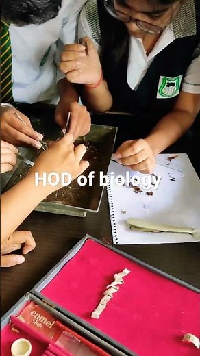 Dissection of cockroach #shorts #shorts #viral.