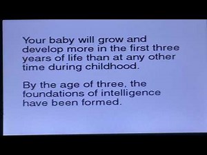 Opening to Bee Smart Baby Vocabulary Builder 3 Volume VHS Intro