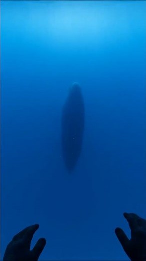 There are so many things we don't know about deep ocean... (Realistic Micro Cam)