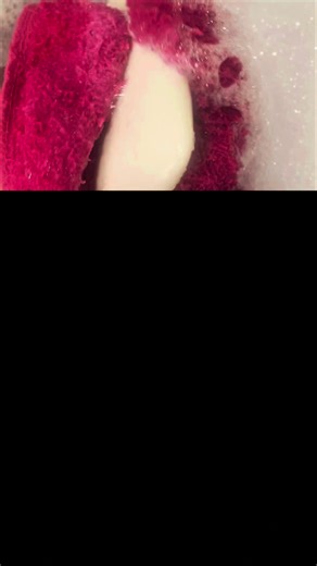 TUT Movie Night Vlog: A Beautiful Night