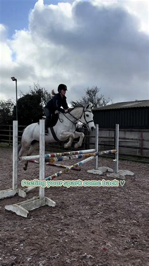 Forever grateful for P 🥲 I’m actually feeling excited to jump again! Hopefully we get a wee pop in this week 🤞🏼🥹#horsesoftiktok #equestrian #horses #amateurshowjumping #showjumping