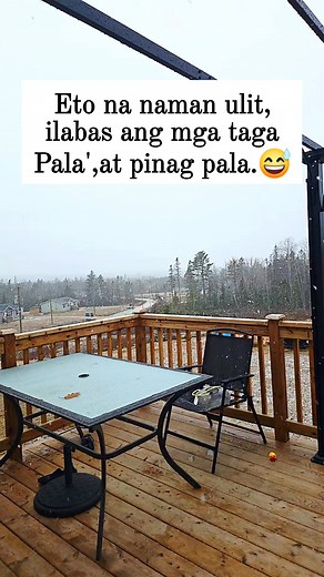 The first snowfall of the season has arrived in Chester, Nova Scotia | John Samarlee | Facebook