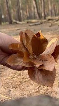 Making a Rose from Forest Leaves 🍂 No Tools Nature Craft🍂