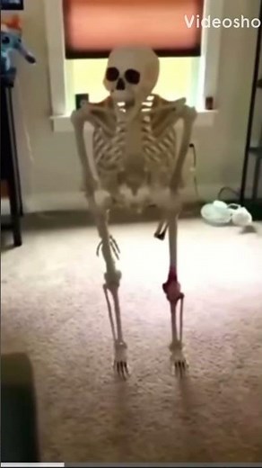 skeleton falling over meme