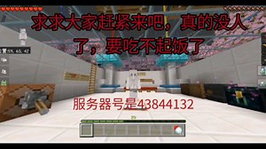 服务器推荐AWA