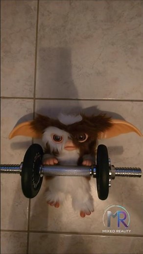 Gizmo Training Montage 🥊 | Gremlins Short | Holding Out for a Hero