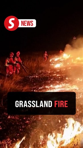 Over 2,000 personnel deployed in north China to contain grassland fire from Mongolia