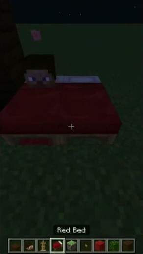 Simple Bed Design In Minecraft