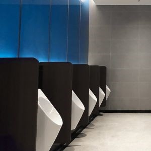 [Hot Item] Factory Price Phenolic Bathroom Partition Urinal Partition for Library