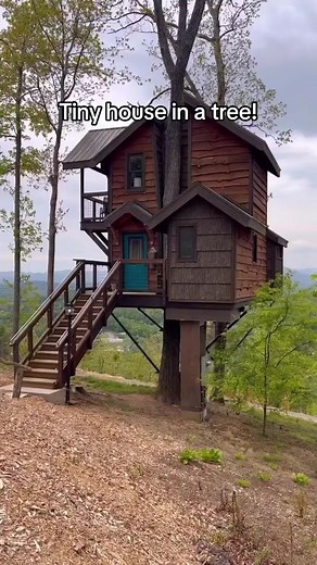 Exploring the Cozy World of Tiny Houses