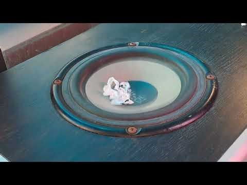 Insane Woofer Excursion! 6.5 Bass Test (Extreme Low Frequency)