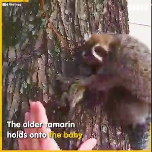69M views · 1.8M reactions | This is the most adorable rescue ever! 殺 | Sassy | Facebook