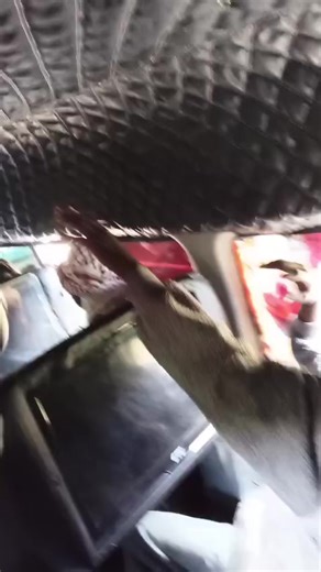 Explore Adventure Tours in Kenya