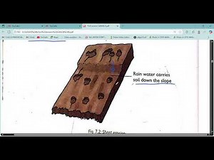 GRADE 6 AGRICULTURE FOR KPSEA REVISION