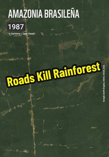 Living Planet Report 2024: Global Wildlife Decline & Amazon Rainforest Destruction