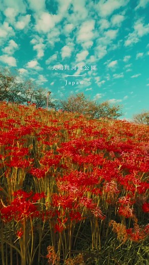 福岡観光の魅力を堪能しよう！