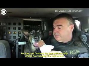 Video Extra: Bruno retires