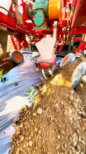 #agricultural machinery#vegetable planting technology#agriculture#automation