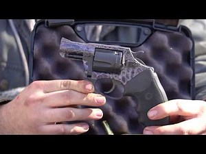 Charter Arm's 38 Revolver