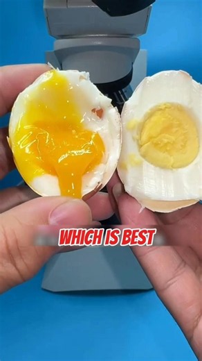 Egg Under Microscope! 🥚🔬 #shorts #shortsfeed #viral #shortvideo #microscope