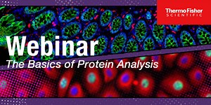 The Basics of Protein Analysis   Topic 1: Fundamental of antibodies for applied research Topic 2: Practical considerations for quantitation in western blottin