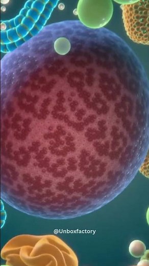 Scientists have created one of the most detailed human cell models ever produced, combining data...