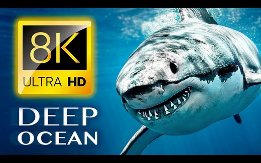 【8K】大型纪录片《深海/THE DEEP OCEAN》超高清完整版 | 来源：8K VIDEOS ULTRA HD