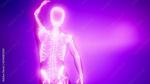 human skeleton radiography medical scan
