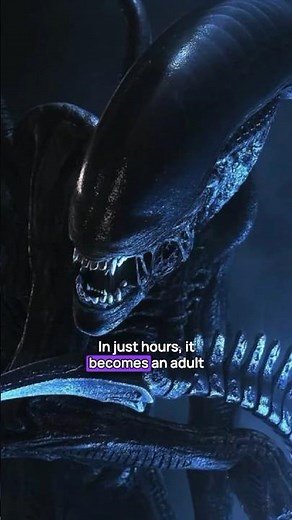 The Terrifying Life Cycle of the Xenomorph #alien #xenomorph #speculativebiology