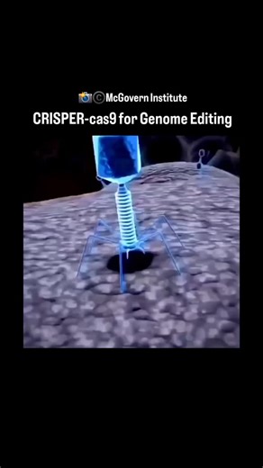 World of Biology on Instagram: "CRISPER-Cas9 Genome editing Amazing animation - McGovern Institute Link to original video 👇 https://youtu.be/2pp17E4E-O8?si=zeP3hm0-Q6AVD6si #crisper #cas9 #genomeediting"