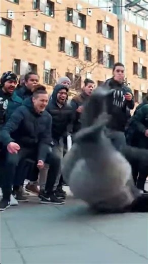 Gorilla Moves 😆 #shortsfeed #funnyanimals #gorilla #sehar