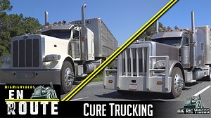 1.7K views · 91 reactions | Who has connections to get Big Rig Videos on a Central Florida ranch or sale lot to film a feature video? Also leave a comment or like if you want to see more Bull Haulers on the page. | Big Rig Videos | Facebook