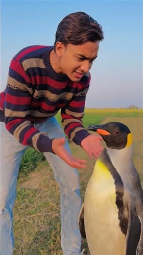 #AI #AII mage #AI Art #My Photo #Apni Image #Creative#Trending #Viral #Reels # #Photo 🥺🥺🙏🏻🙏🏻 penguin