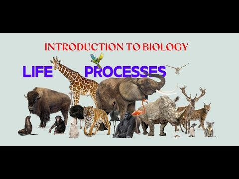 Introduction to Biology | What is Life | Life processes