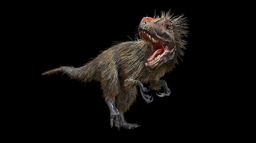 Dinosaurs are related to modern birds, and even had feathers! Join us on a 360-degree tour as we explore the relationship between dinos and birds at the American Museum of Natural History's “Dinosaurs Among Us." | Popular Science