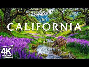California USA 4K | Golden Beaches, Redwood Forests and Desert Canyons in One Epic Western View